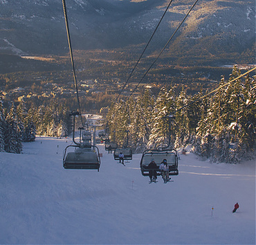 Vuluptate - Magna sit amet purus gravida quis blandit turpis. Justo donec enim diam vulputate ut pharetra sit amet aliquam.