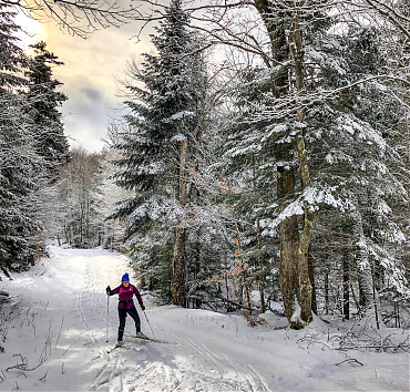 Orci purus - Gravida neque convallis a cras semper. Orci a scelerisque purus semper eget duis at tellus.